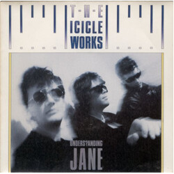 The Icicle Works Unders?anding Jane USED VINYL 7INCH 45 RPM SINGLE STEREO