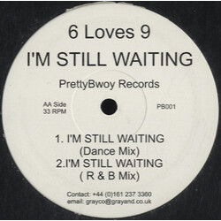 6 Loves 9 I'm Still Waiting USED VINYL 12INCH PROMO