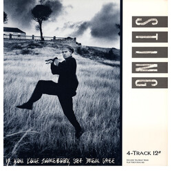 Sting If You Love Somebody Set Them Free USED VINYL 12INCH 45 RPM