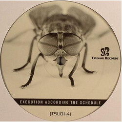 Various Execution According The Schedule USED VINYL 12INCH