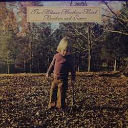 The Allman Brothers Band Brothers And Sisters Vinyl LP USED