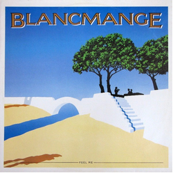 Blancmange Feel Me Vinyl 12" USED