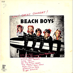 The Beach Boys Wow! Great Concert! Vinyl LP USED