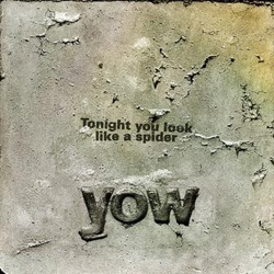David Yow Tonight You Look Like A Spider Vinyl LP USED