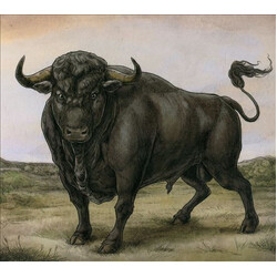 San Fermin San Fermin Vinyl LP USED