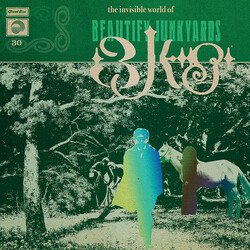 Beautify Junkyards The Invisible World Of Beautify Junkyards Vinyl LP USED