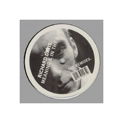 Richard Davis Meaning & In The Air - The Remixes USED VINYL 12INCH 33 S RPM