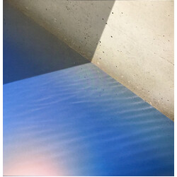 Andrew Bird Echolocations: River Vinyl LP USED