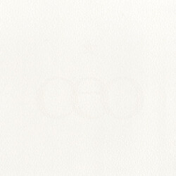 ceo (2) White Magic Vinyl LP USED