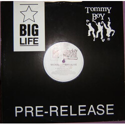 Naughty By Nature O.P.P. / Wickedest Man Alive USED VINYL 12INCH PROMO