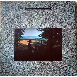 Geisterfahrer Schatten Voraus Vinyl LP USED