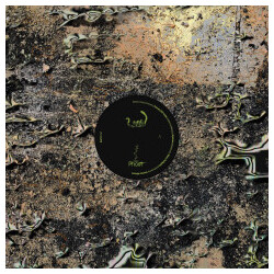 Phost Swallowed By A Snake USED VINYL 12INCH