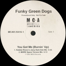 Funky Green Dogs You Got Me (Burnin' Up) USED VINYL 12INCH PROMO