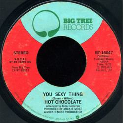 Hot Chocolate You Sexy Thing USED VINYL 7INCH 45 RPM STYRENE STEREO