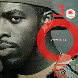 Joe Everything Vinyl LP USED