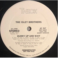 The Isley Brothers Hurry Up And Wait USED VINYL 12INCH 33 S RPM PROMO