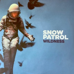 Snow Patrol Wildness Vinyl LP USED