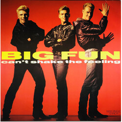 Big Fun Can't Shake The Feeling USED VINYL 12INCH 45 RPM MAXI-SINGLE