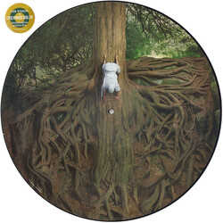The Mars Volta The Widow USED VINYL 12INCH 33 S RPM SINGLE PICTURE DISC