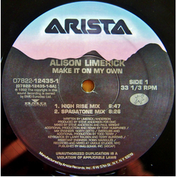 Alison Limerick Make It On My Own Vinyl 12" USED