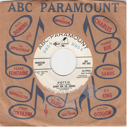 Danny & The Juniors Dottie / In The Meantime Vinyl 7" USED
