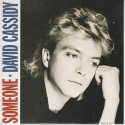 David Cassidy Someone USED VINYL 7INCH 45 RPM SINGLE