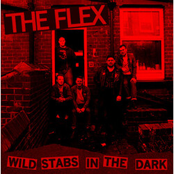 The Flex (3) Wild Stabs In The Dark USED VINYL 12INCH 45 RPM ALBUM