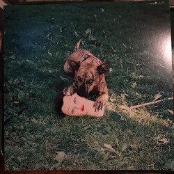 Joyce Manor Cody Vinyl LP USED