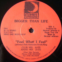 Bigger Than Life Feel What I Feel USED VINYL 12INCH 33 S RPM