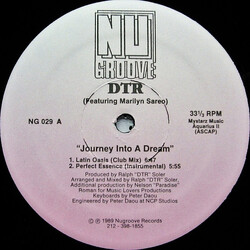 DTR / Marilyn Sareo Journey Into A Dream USED VINYL 12INCH 33 S RPM