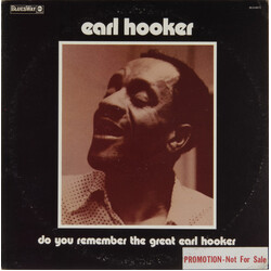 Earl Hooker Do You Remember The Great Earl Hooker Vinyl LP USED