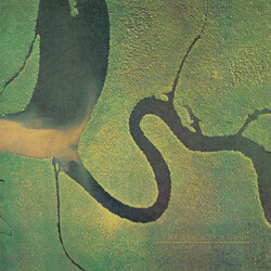 Dead Can Dance The Serpent's Egg Vinyl LP USED