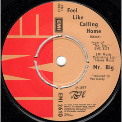 Mr Big Feel Like Calling Home Vinyl 7" USED