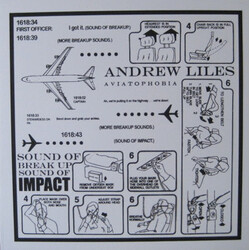 Andrew Liles Aviatophobia Vinyl LP USED