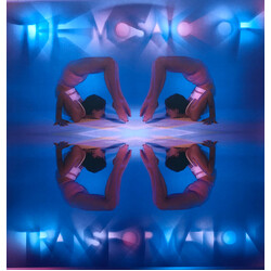 Kaitlyn Aurelia Smith The Mosaic Of Transformation Vinyl LP USED