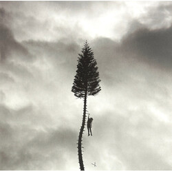 Manchester Orchestra A Black Mile To The Surface Vinyl 2 LP USED