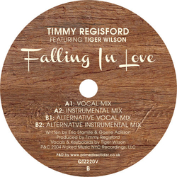 Timmy Regisford / Tiger Wilson Falling In Love Vinyl 12" USED