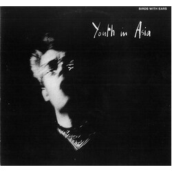 Birds With Ears Youth In Asia Vinyl LP USED