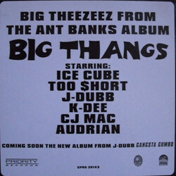 Ant Banks Big Theezeez From The Ant Banks Album Big Thangs USED VINYL 12INCH PROMO
