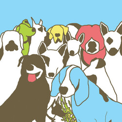 The Format (2) Dog Problems Vinyl 2 LP USED