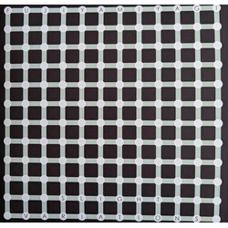 Fujiya & Miyagi Slight Variations Vinyl LP USED