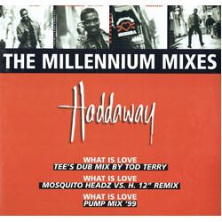 Haddaway The Millennium Mixes USED VINYL 12INCH