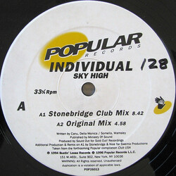 Individual Sky High USED VINYL 12INCH 33 S RPM