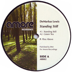 Demarkus Lewis Standing Still USED VINYL 12INCH