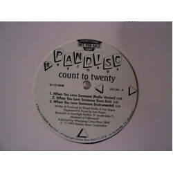 Count To Twenty When You Love Someone / You Are The One USED VINYL 12INCH 33 S RPM PROMO