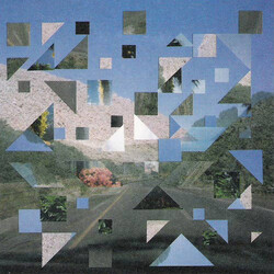 Growing Vision Swim Vinyl LP USED