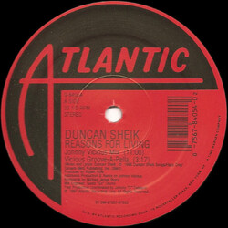 Duncan Sheik Reasons For Living USED VINYL 12INCH 33 S RPM