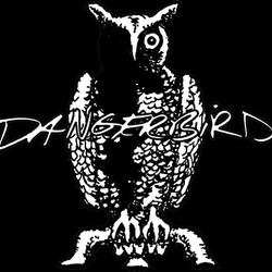 Dangerbird / Ugh God Dangerbird / Ugh God Split USED VINYL 7INCH LIMITED EDITION