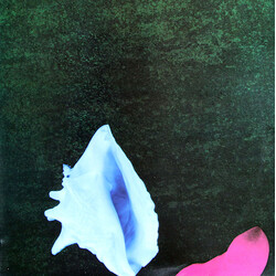 New Order Touched By The Hand Of God USED VINYL 12INCH 45 RPM SINGLE