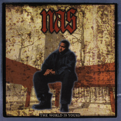 Nas The World Is Yours Vinyl 7" USED